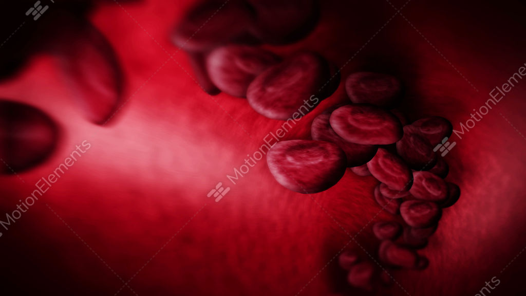 Blood Routine Animation MotionElements