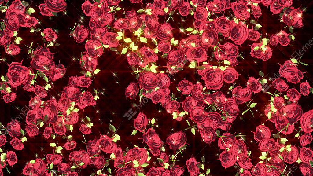 Pink Roses Falling Loop Motion Background MotionElements