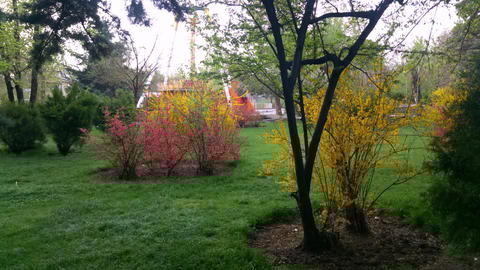 Spring in Park (5)