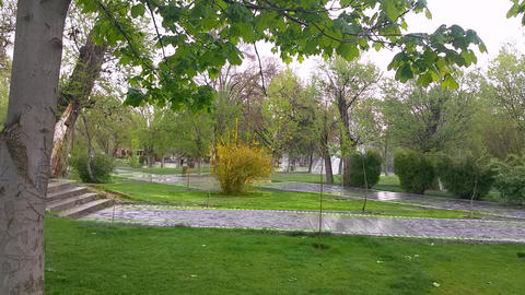 Spring in Park (6)