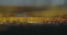Extreme Shallow Depth of Field Golden Surface