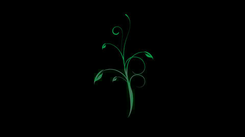 floral element 016